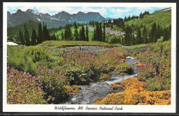 Washington, Mount Rainier National Park, Wildflowers, Unused - Andere & Zonder Classificatie