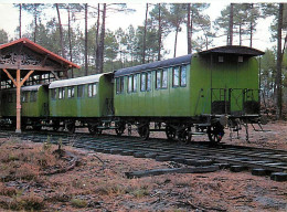 Trains - Parc Naturel Régional Des Landes De Gascogne - Ecomusée De La Grande Lande Marqueze Sabres (Landes) - 40108 Voi - Treinen