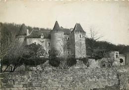 46 - Figeac - Château De Ceint D'Eau - Carte Dentelée - CPSM Grand Format - Voir Scans Recto-Verso - Figeac