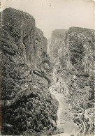 04 - Alpes De Haute Provence - Gorges Du Verdon - Le Grand Canon Par Les Sentiers Et Par Le Fond Le Point Sublime - Cart - Other & Unclassified