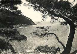 83 - Cavalaire Sur Mer - Pointe De La Vigie - CPSM Grand Format - Voir Scans Recto-Verso - Cavalaire-sur-Mer