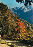 65 - Hautes Pyrénées - Massif Du Vénasque - La Route De L'Hospice De France - CPM - Voir Scans Recto-Verso - Other & Unclassified