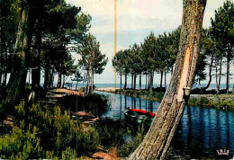 40 - Landes - Canal Landais - Barques - CPM - Voir Scans Recto-Verso - Autres & Non Classés