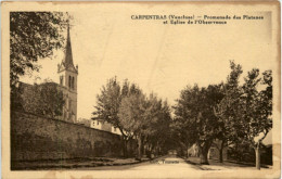 Carpentras - Promenade Des Platanes - Carpentras