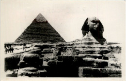 Pyramdien Sphinx - Other & Unclassified