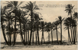 Palm Trees And The Three Pyramids - El Cairo