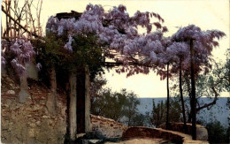 San Ambrogio - Genova (Genoa)