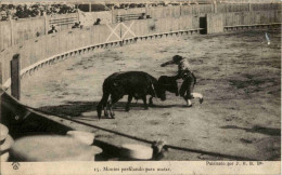 Montes Perfilando Para Matar - Corrida