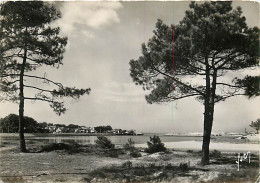 40 - Capbreton - La Bouret Et L'entrée Du Port - Carte Dentelée - CPSM Grand Format - Etat Pli Visible - Voir Scans Rect - Capbreton