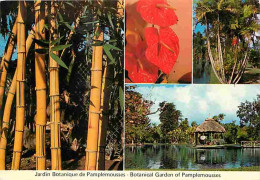 Ile Maurice - Mautitius - Jardin Botanique De Pamplemousses - Botanical Garden Of Pamplemousses - Multivues - CPM - Voir - Mauricio