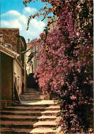 83 - Bormes Les Mimosas - Rue Rompi-Cuou - Fleurs - CPM - Voir Scans Recto-Verso - Bormes-les-Mimosas