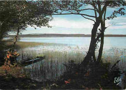 40 - Landes - Un Lac Calme Et Reposant - CPM - Voir Scans Recto-Verso - Autres & Non Classés