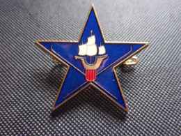 Insigne Section D' Eclaireurs Skieurs Du 43° Régiment D’Infanterie Alpine - SES - Landmacht