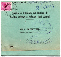 1968 CARTOLINA  CON ANNULLO MANDURIA TARANTO - 1961-70: Storia Postale