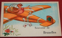 BRUXELLES -  "   Souvenir De Bruxelles " - Brüssel (Stadt)