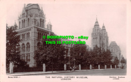 R507923 London. The Natural History Museum. Davison Bros. Series. 5035. 1 - Autres & Non Classés