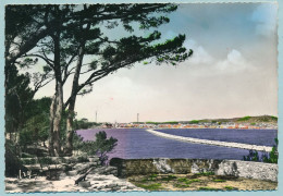 MARTIGUES - Corniche De L'Etang De Berre, Au Loin Martigues - Martigues