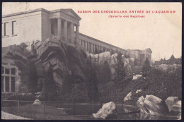 +++ CPA - ANTWERPEN - ANVERS - Jardin Zoologique - Zoo - Bassin Des Crocodiles // - Antwerpen