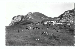 32417 - Chalet Du Gros Plané Et Le Moléson - Gruyères