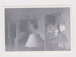 Room Interior, Lamp, Deer Trophy Head On The Wall, Abstract Surreal Vintage Orig Photo 8.6x5.8cm. (54780) - Oggetti