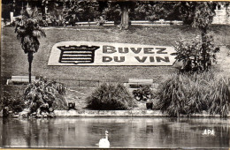 CPA BUVEZ DU VIN - Viñedos