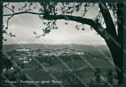 Cuneo Mondovì Monviso Foto FG Cartolina KB1993 - Cuneo