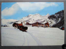 CP 04  Basses Alpes PRA LOUP - Station D'Honoré Bonnet La Promenade à Cheval En Traineau  Vers 1970 - Barcelonnette