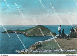 Br415 Cartolina Porto Ercole L'isola D'ercole Vista Dalla Rocca Grosseto Toscana - Grosseto