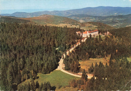 NOIRETABLE - NOTRE DAME DE L HERMITAGE - VUE PANORAMIQUE - Noiretable