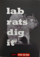 Carte Postale (Tower Records) Lab Rats Dig It (en. Spank Your Mind) Digital Entertainment - Publicité