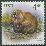 Estland 2005 Tiere Der Biber 504 Postfrisch - Estland