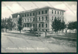 Forlì Cesenatico Colonia PIEGHINE Foto FG Cartolina KB1050 - Forli