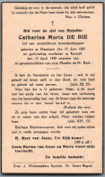 Bidprentje Hemiksem - De Bie Catharina Maria (1865-1945) - Devotion Images