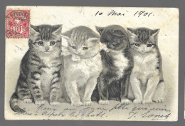 Cpa 1901. 4 Chats (9932) - Katzen