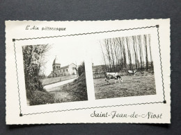 St Jean De Niost L'ain Pittoresque L'église Et Les Pâturages - Non Classés