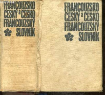 Francouzsko Cesky A Cesko Francouzsky Slovnik - Dictionnaire Français Tchèque Et Tchèque Français - BUBEN VLADIMIR - MIL - Woordenboeken