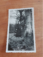 560 //  PHOTO ANCIENNE 11 X 7 CMS / FEMME , ARBRE - Personnes Anonymes