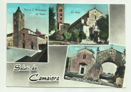 SALUTI DA CAMAIORE - VEDUTE  - VIAGGIATA FG - Lucca