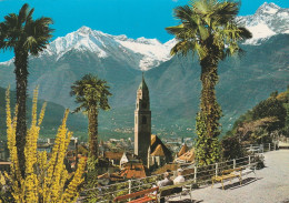 AD58 Merano Meran  (Bolzano) - Passeggiata Tappeiner - Tappeinerweg Gegen Zielspitze - Panorama / Viaggiata 1973 - Sonstige & Ohne Zuordnung