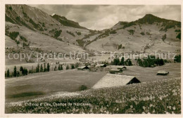 13750402 Chateau-d Oex Champs De Narcisses Landschaftspanorama Narzissenbluete C - Sonstige & Ohne Zuordnung