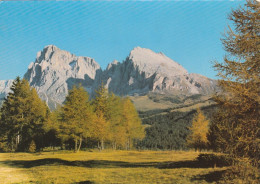 AD60 Alpe Di Siusi Seiseralm (Bolzano) - Sassolungo - Langkofel - Panorama / Non Viaggiata - Autres & Non Classés