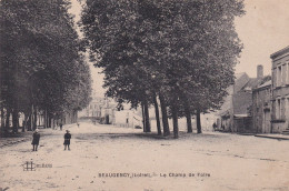 Beaugency (45 Loiret) Le Champ De Foire - édit. LL Rare - Beaugency