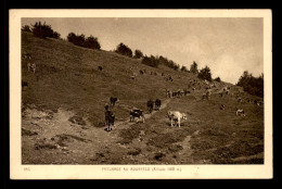 68 - PATURAGE AU MOORFELD - VACHES - Altri & Non Classificati