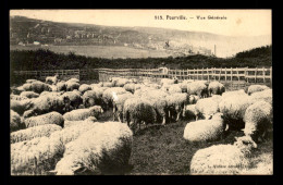 76 - POURVILLE - VUE GENERALE - TROUPEAU DE MOUTONS - Other & Unclassified