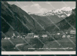 Aosta Gressoney La Trinitè Ghiacciai Monte Rosa Foto FG Cartolina KB1765 - Aosta