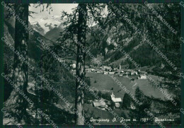 Aosta Gressoney Saint Jean Foto FG Cartolina KB1751 - Aosta