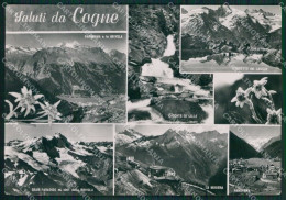 Aosta Cogne Saluti Da Stella Alpina Foto FG Cartolina KB1900 - Aosta