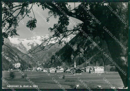 Aosta Gressoney Saint Jean Pascolo Foto FG Cartolina KB1743 - Aosta