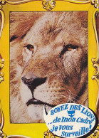 AK 215064 LION / LÖWE ... - Leones