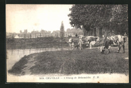 CPA Chaville, L`Etang De Brisemiche  - Chaville